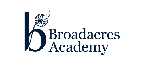 Logo _ Broadares